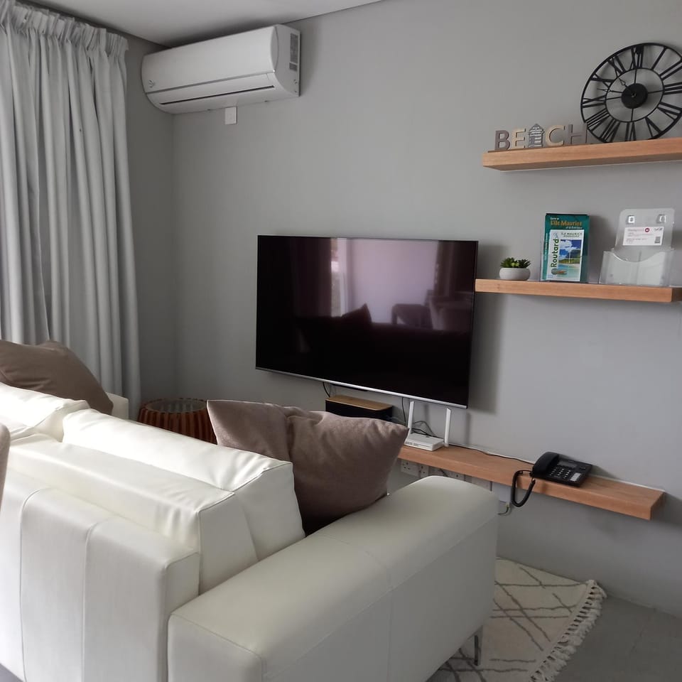 TV and multimedia, Living room, Seating area, air conditioner