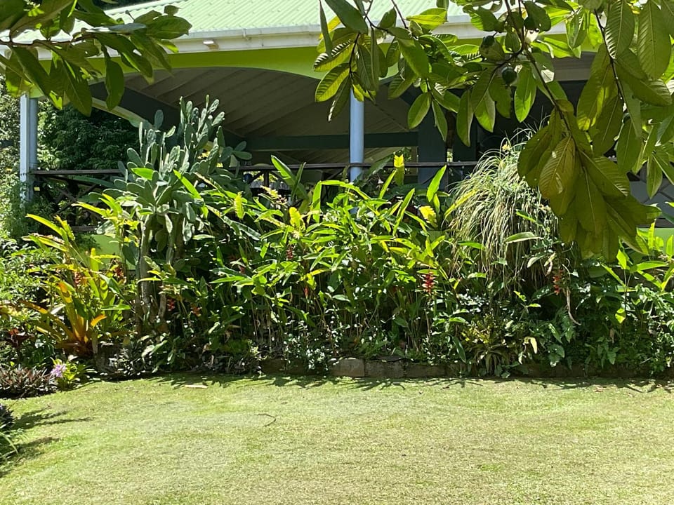 Aura Dominica Villa in Dominica