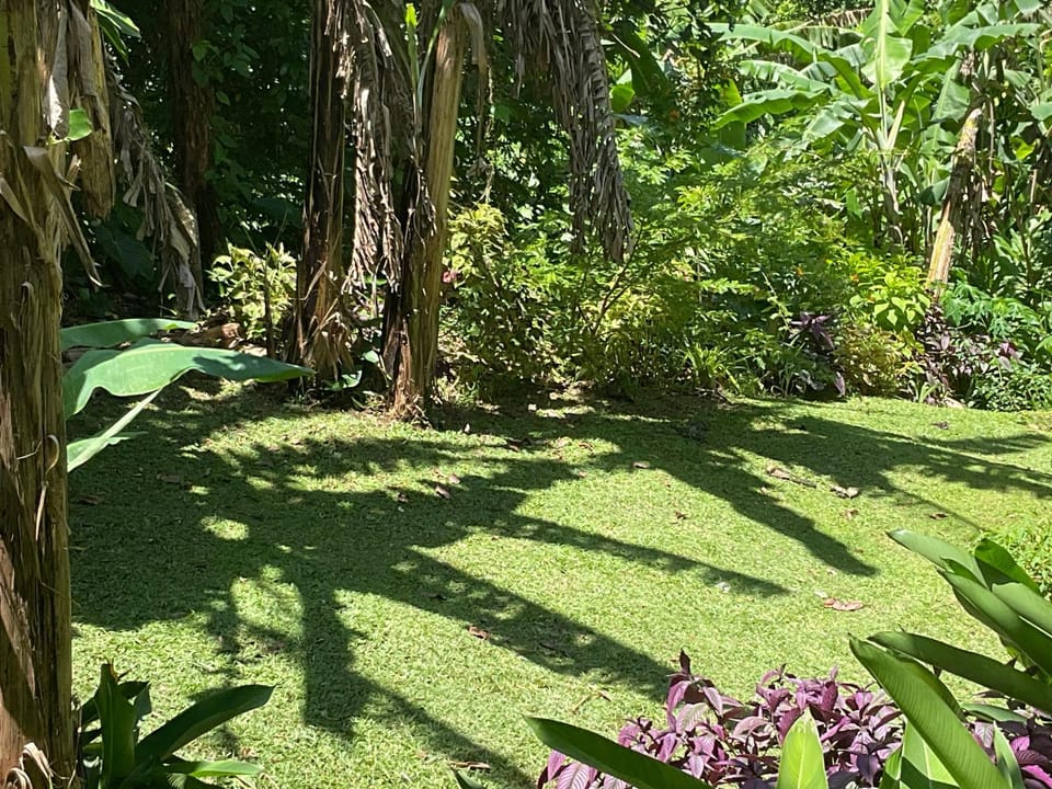 Aura Dominica Villa in Dominica