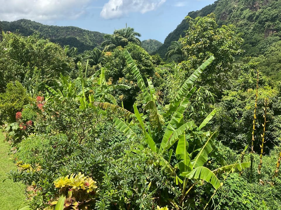Aura Dominica Villa in Dominica