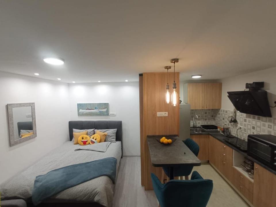 Little Lion Apartment in Split