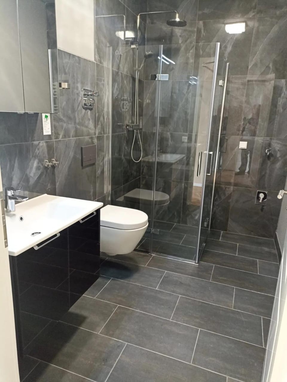 Bathroom, Living room