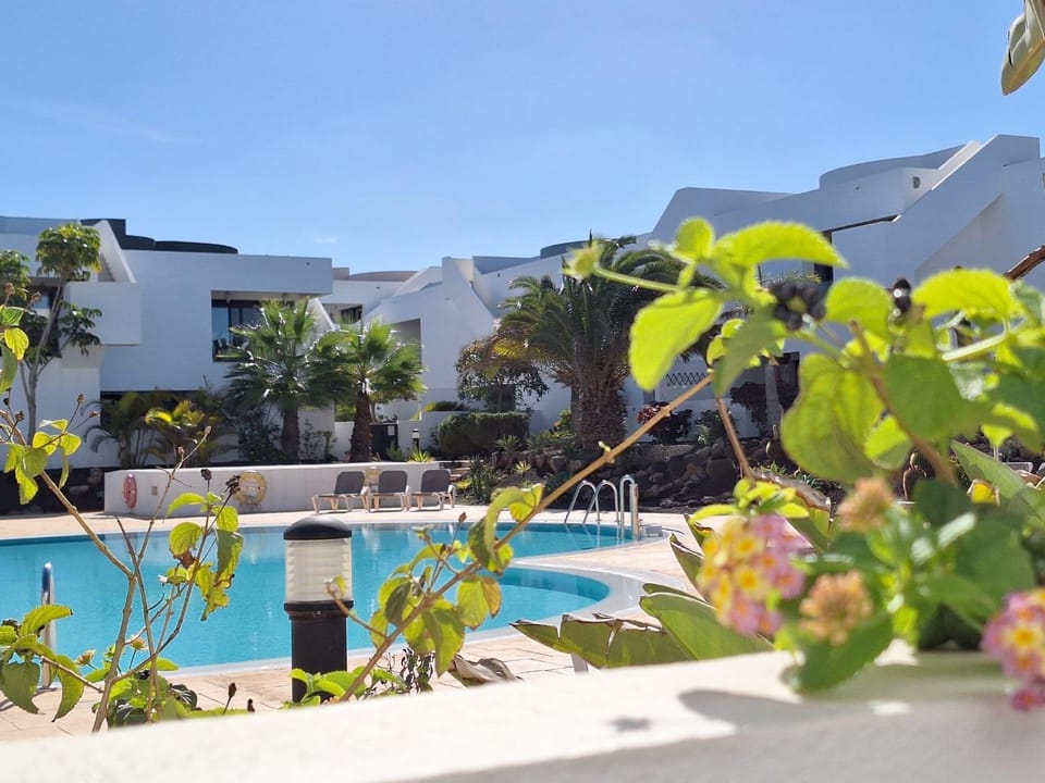 Garden, Swimming pool