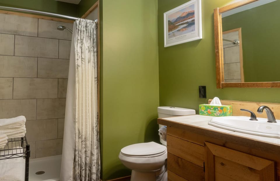 Shower, Toilet, Bathroom, towels