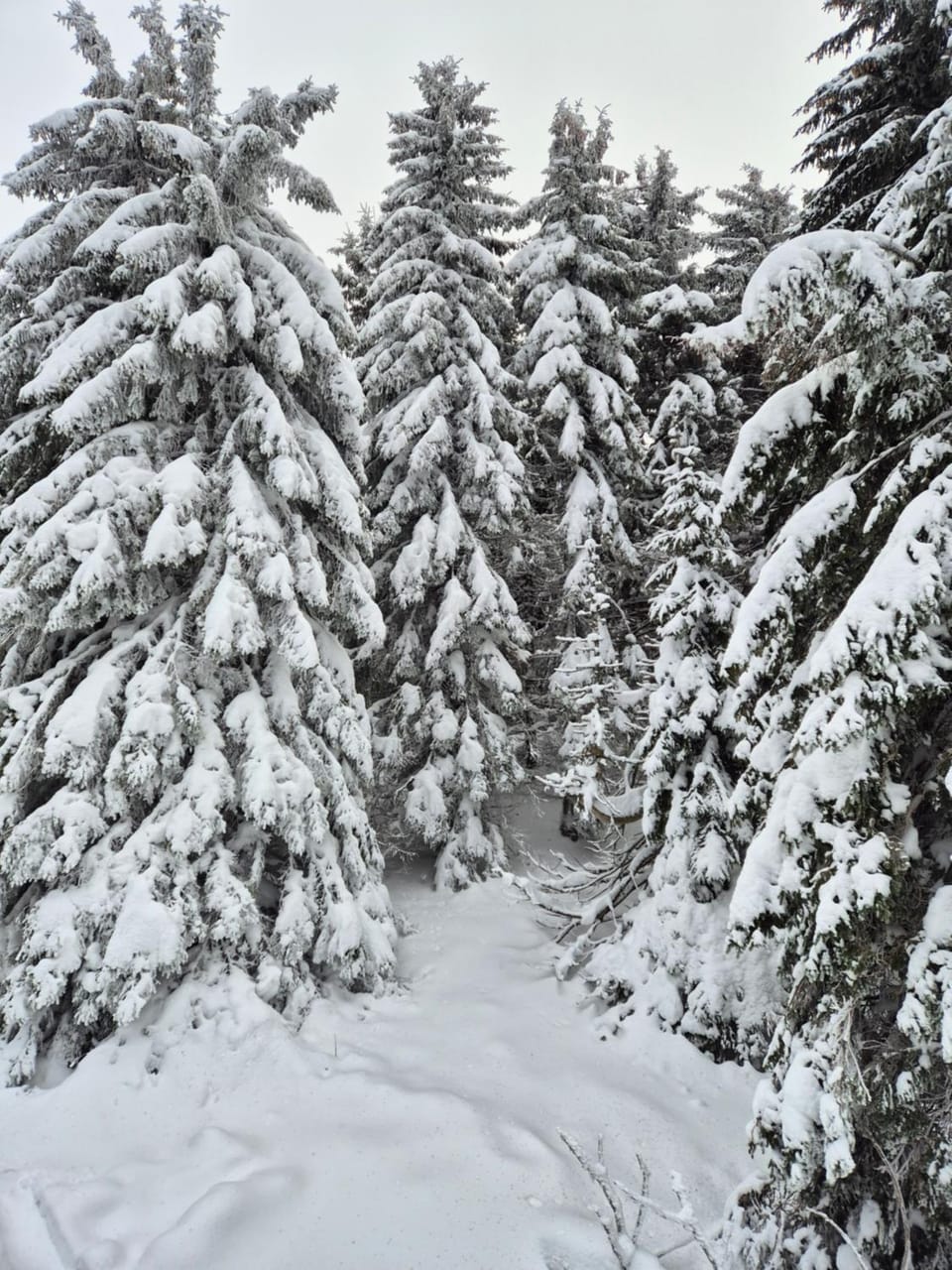Day, Natural landscape, Winter