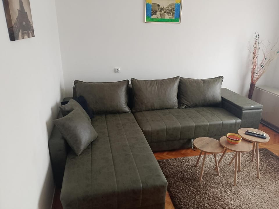 Apartman Petra Apartment in Serbia