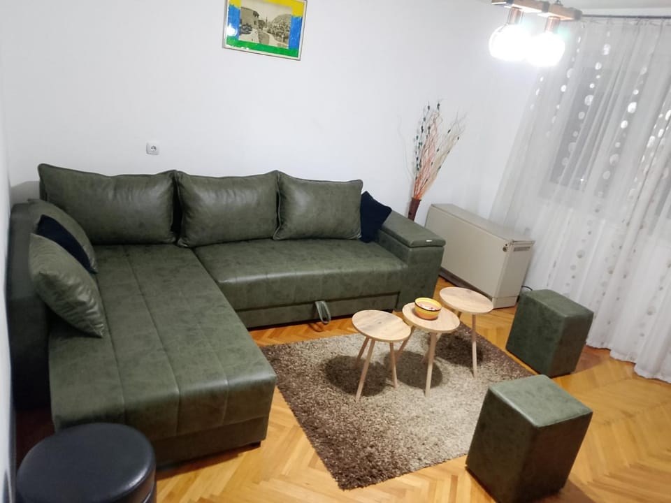 Apartman Petra Apartment in Serbia