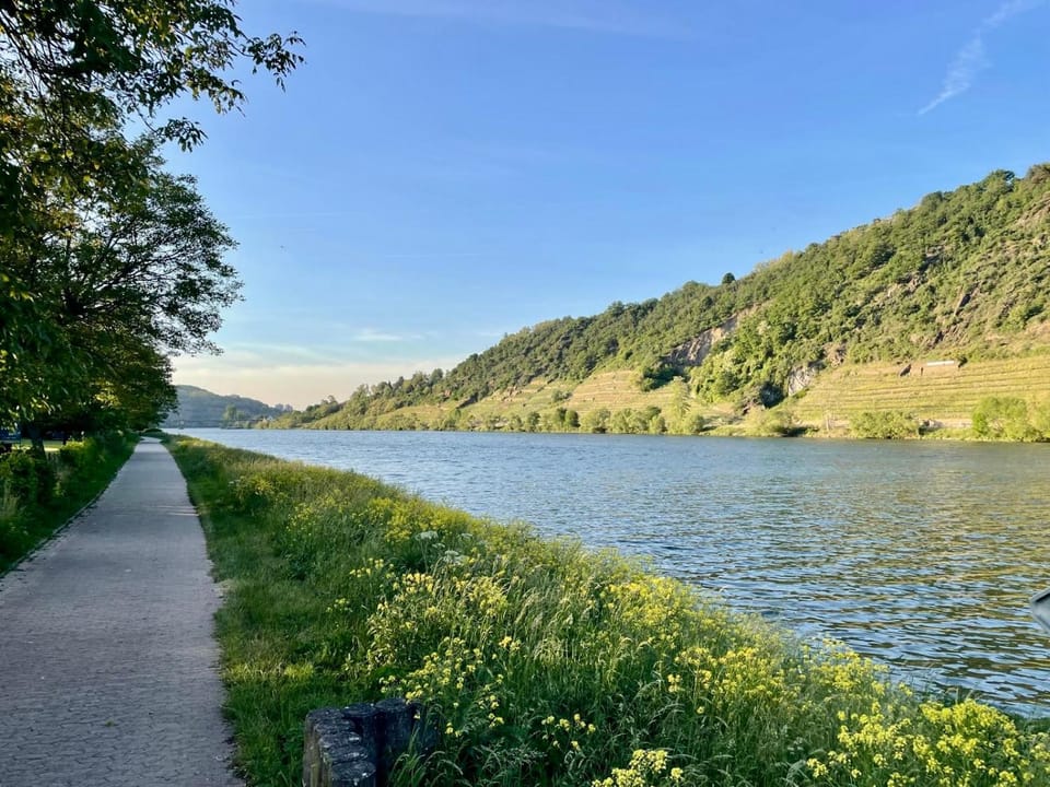 Natural landscape, River view