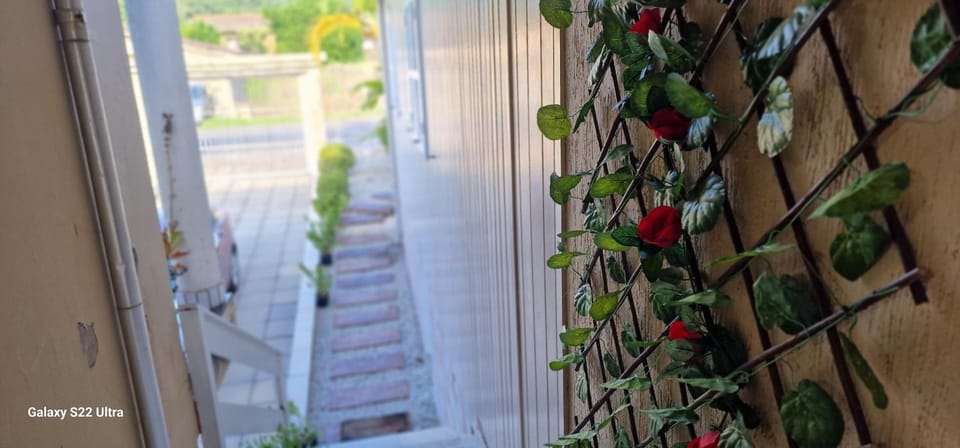 Day, Garden view