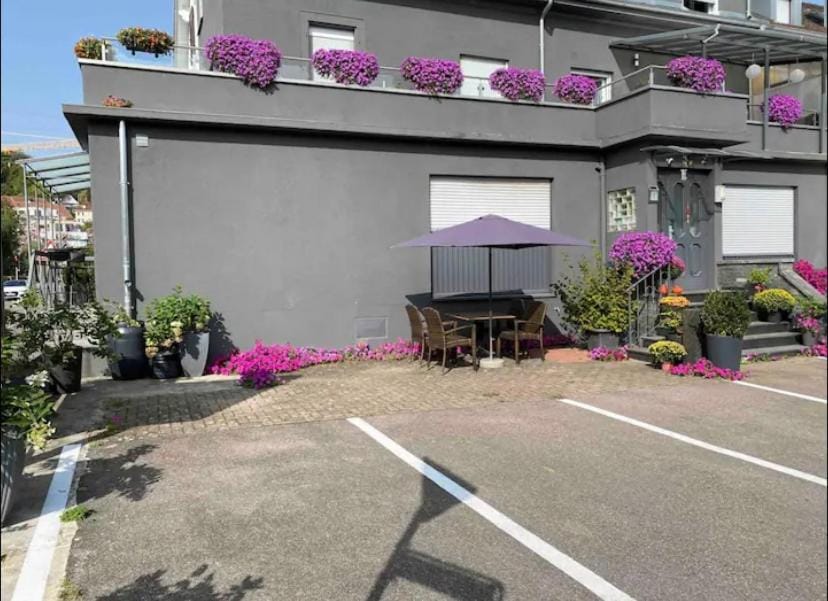 Günstiges grünes Ferienzimmer mit separater moderner Dusche Apartment in Lörrach