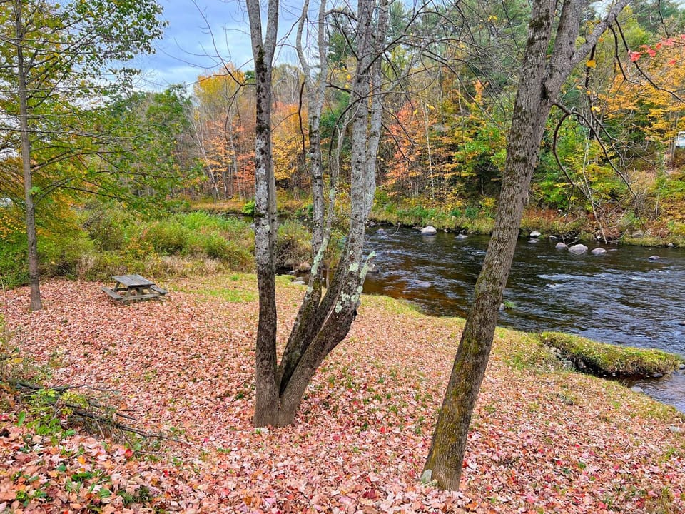 37PA Superbly appointed riverfront home in LIttleton! Skiing, hiking, firepit, wifi! House in Littleton