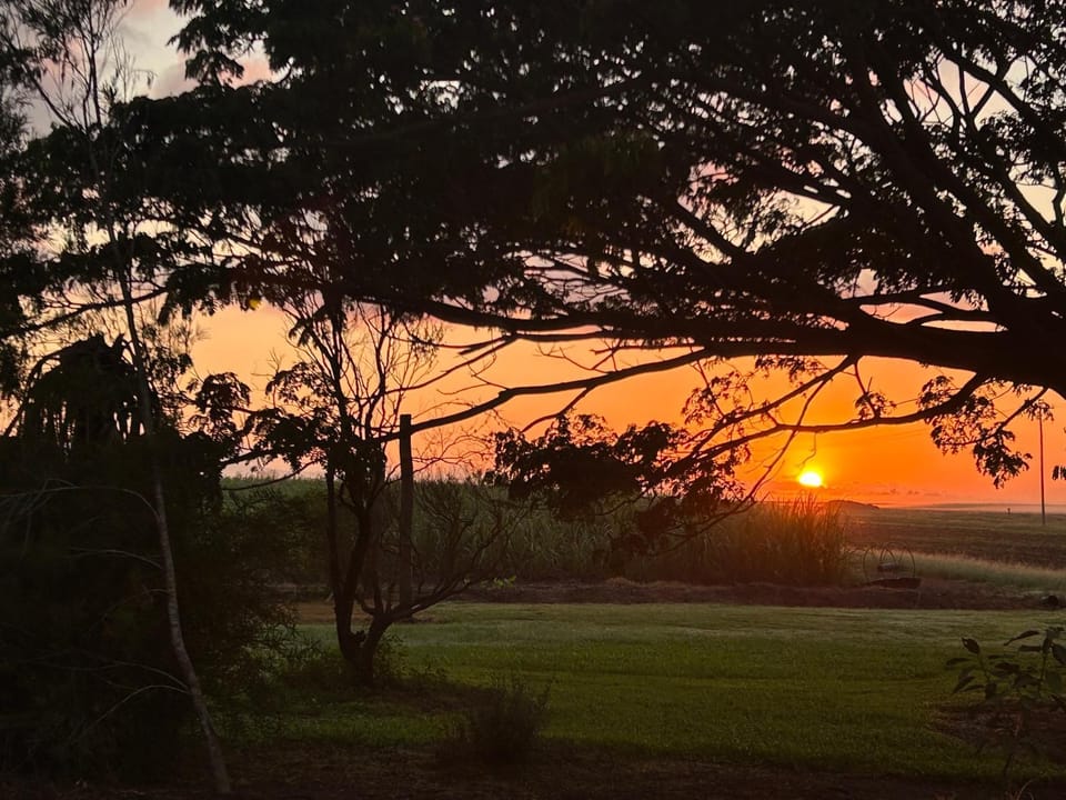 Sunrise