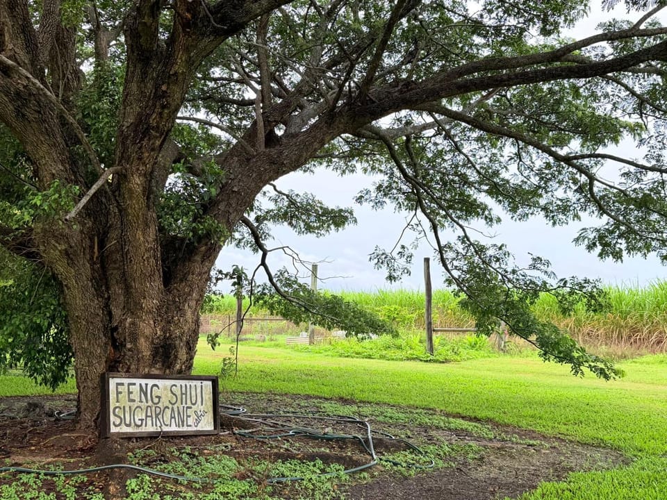 Garden, Street view, Entertainment, Entertainment