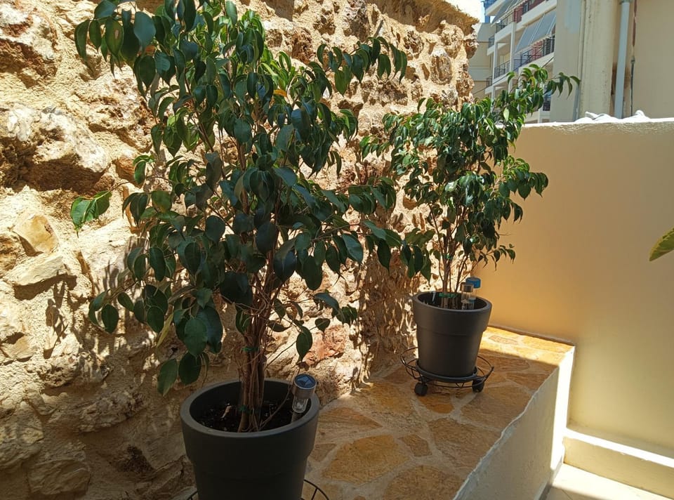 Olga's House Apartment in Peloponnese, Western Greece and the Ionian