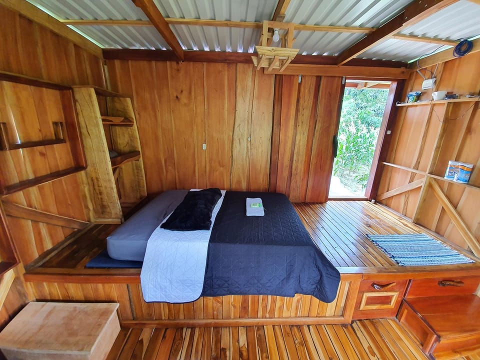 Bed, Photo of the whole room, Bedroom, wardrobe