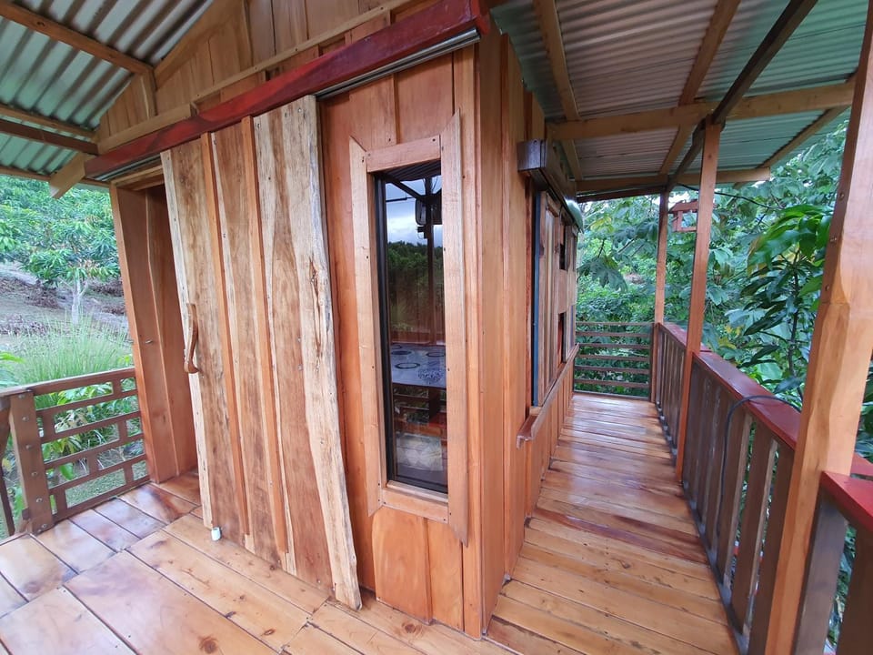 Balcony/Terrace, Garden view