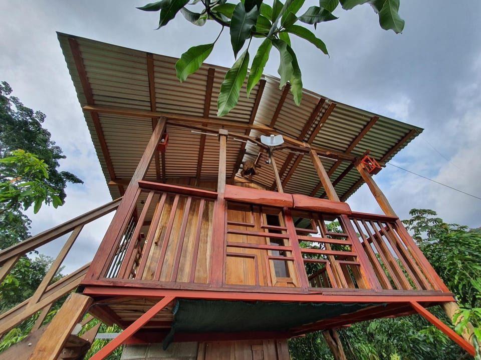 Natural landscape, View (from property/room), Balcony/Terrace, Garden view