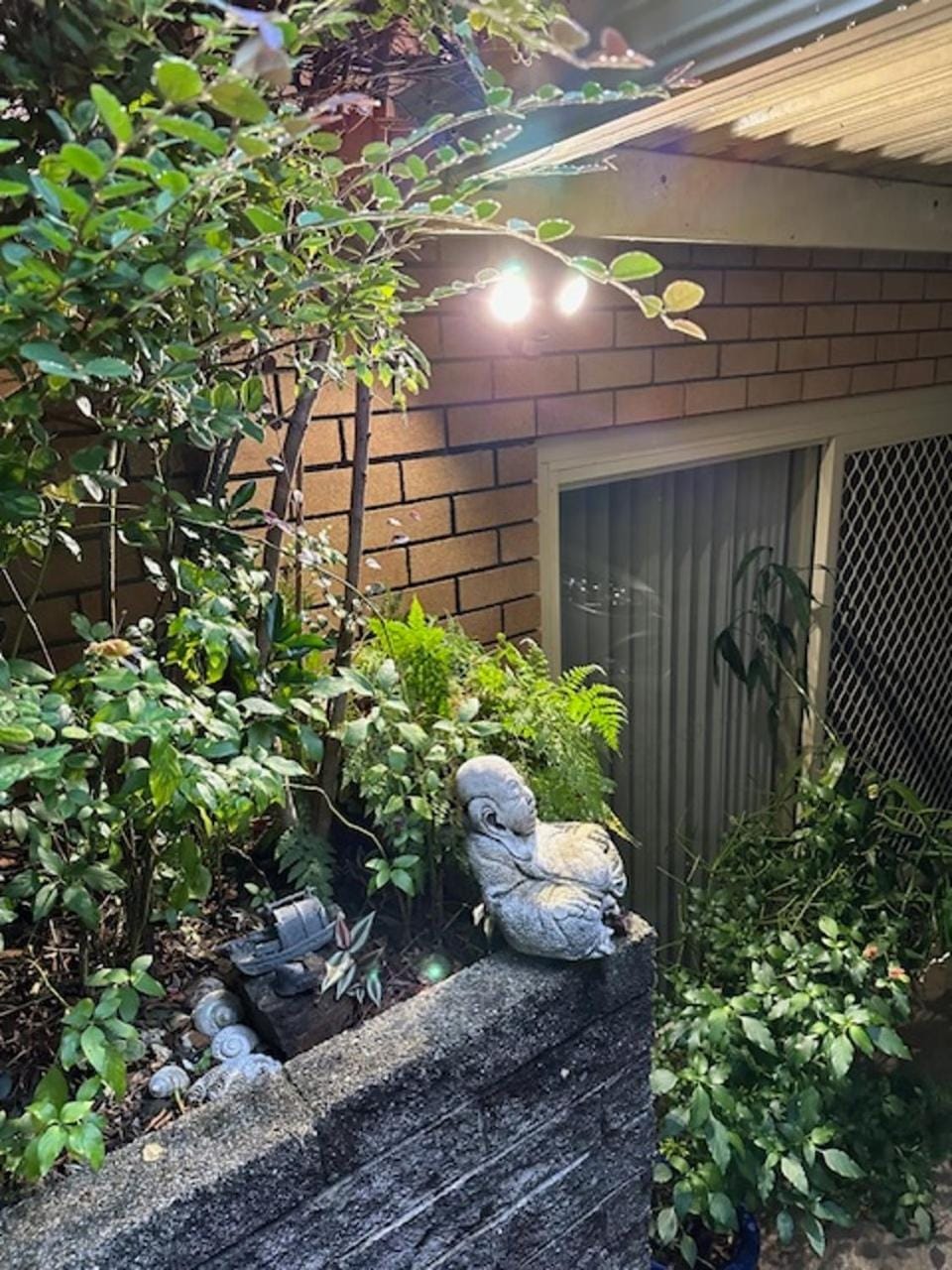 Garden view