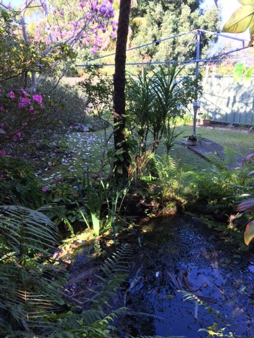 Natural landscape