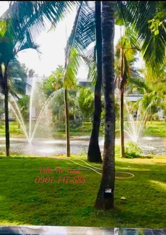 Natural landscape, Garden, Garden view