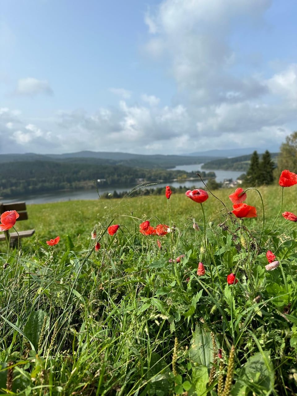 Day, Natural landscape, Lake view