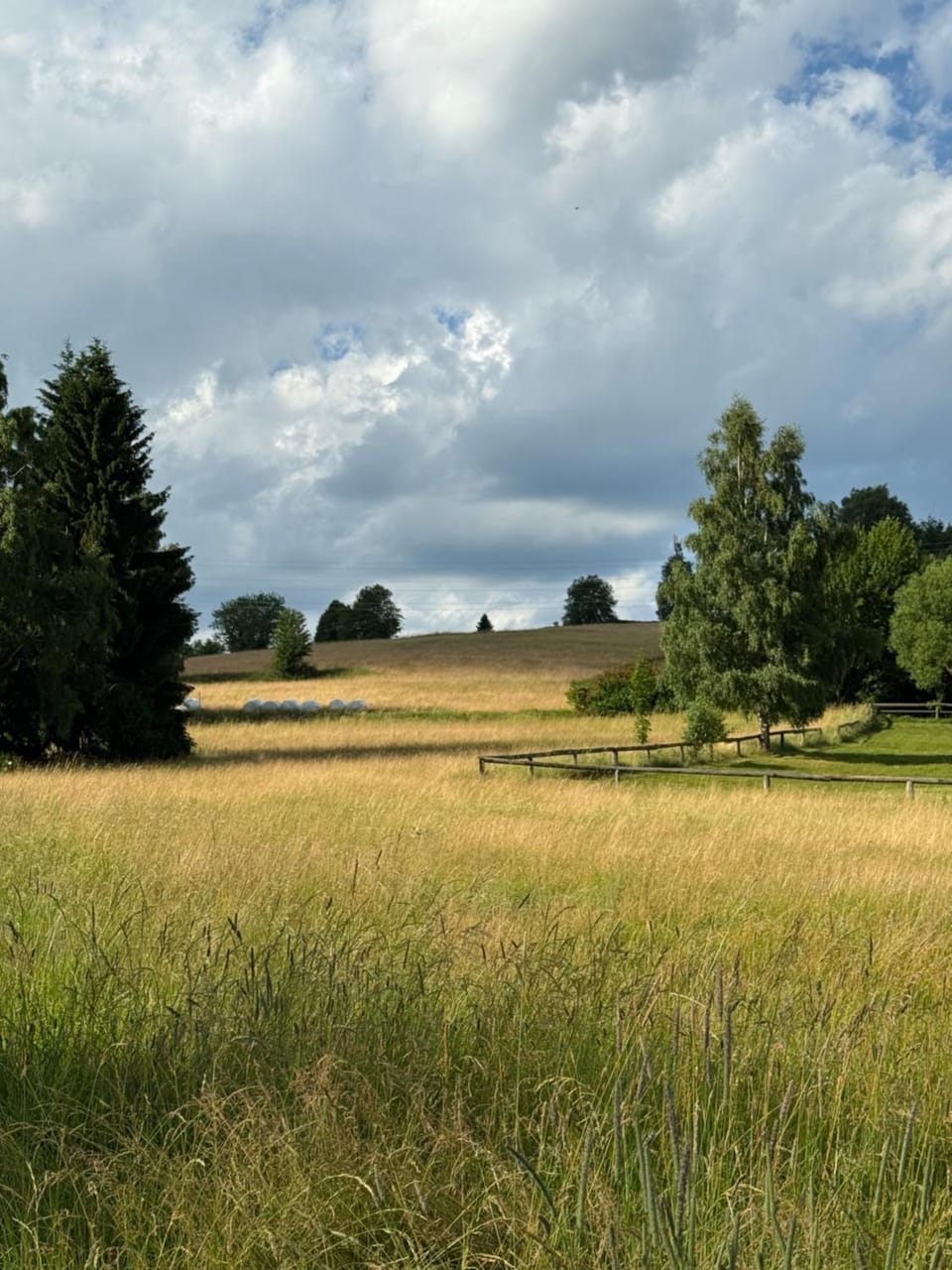 Natural landscape
