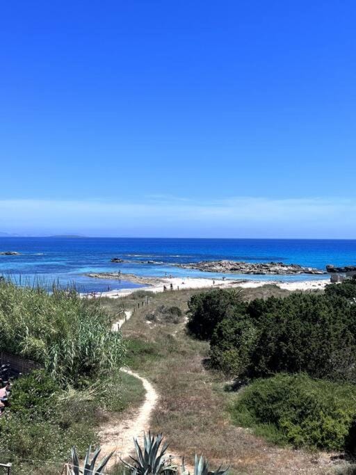 Apt Mar de Pujols 2 - FormenteraLodge Apartment in Es Pujols
