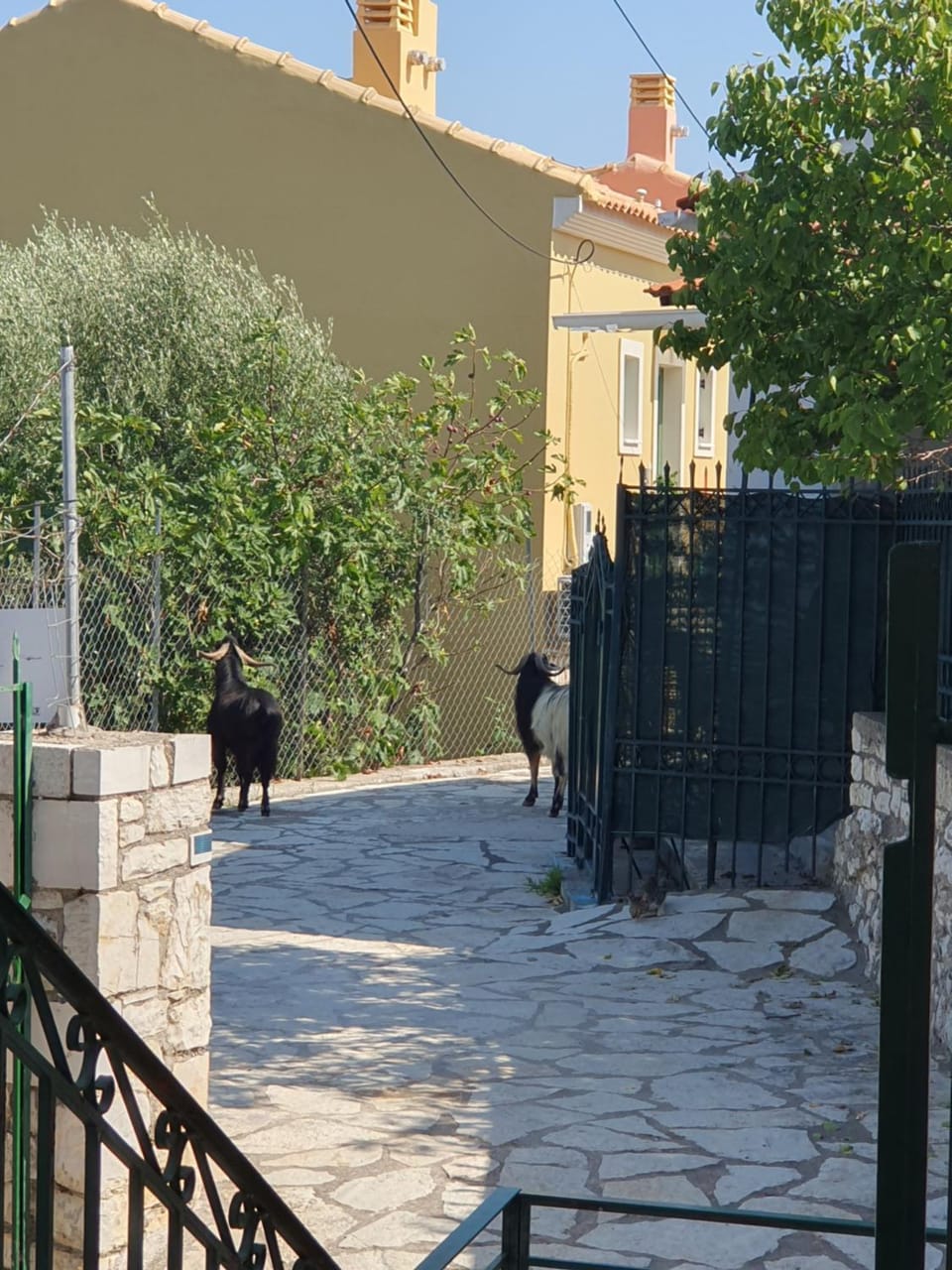 Les terrasseSSS de KASTOS House in Peloponnese, Western Greece and the Ionian