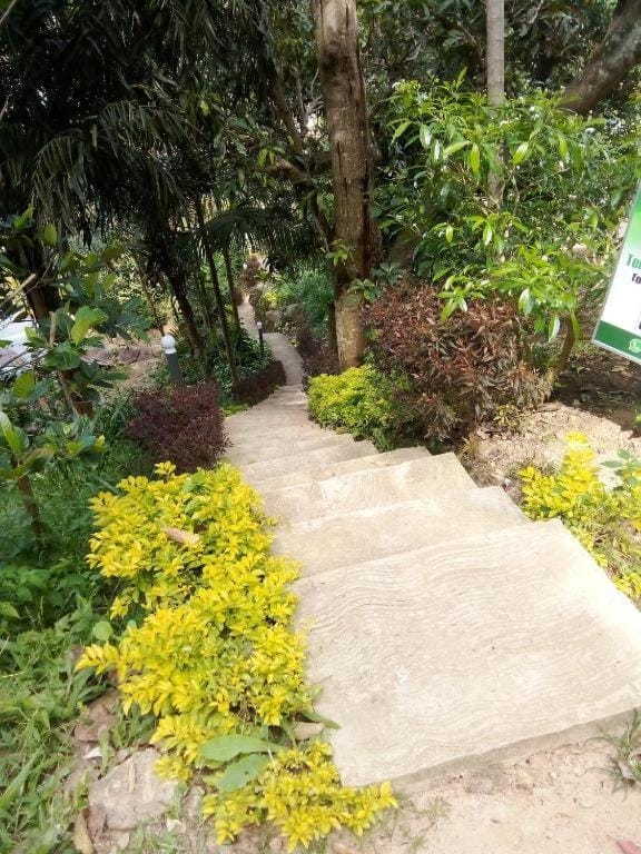 Forest Rawana homestay Ella Vacation rental in Ella
