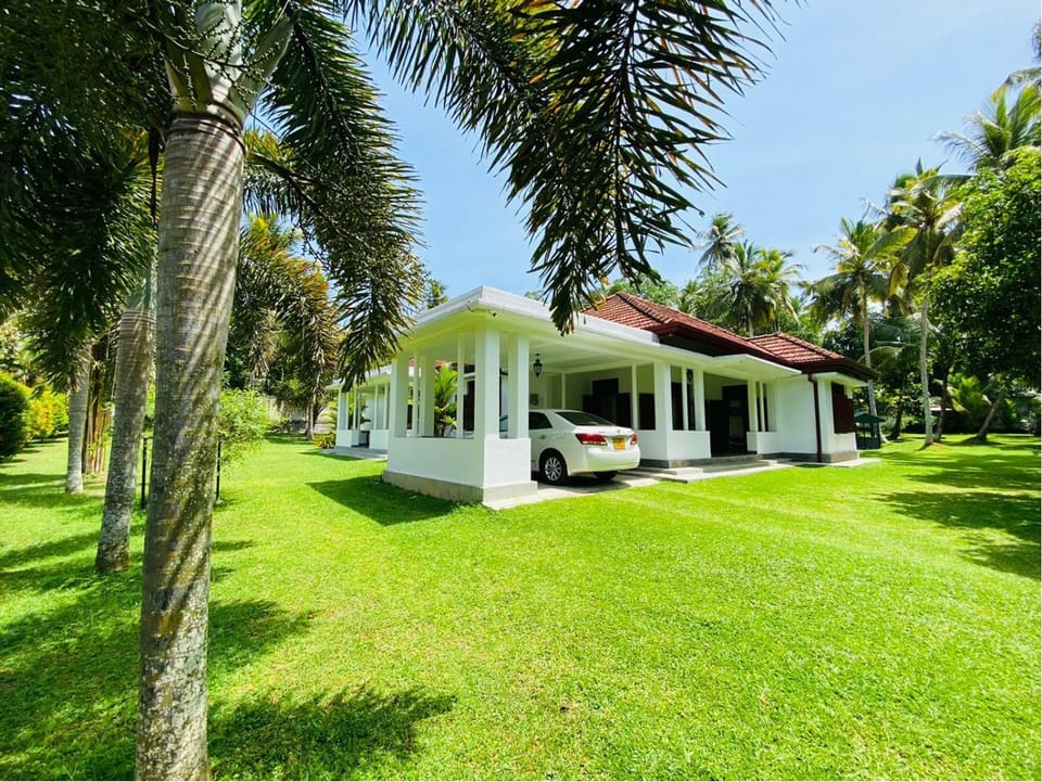 Property building, Garden, Garden view