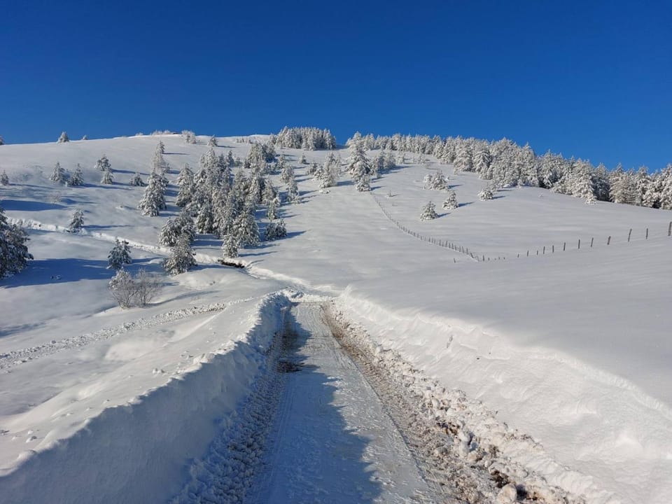 Natural landscape, Winter