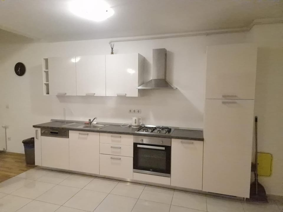 Kitchen or kitchenette, dishwasher, minibar, stove