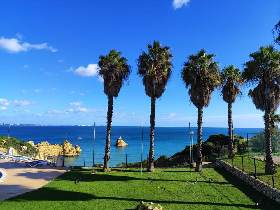 Patio, Garden, Garden view