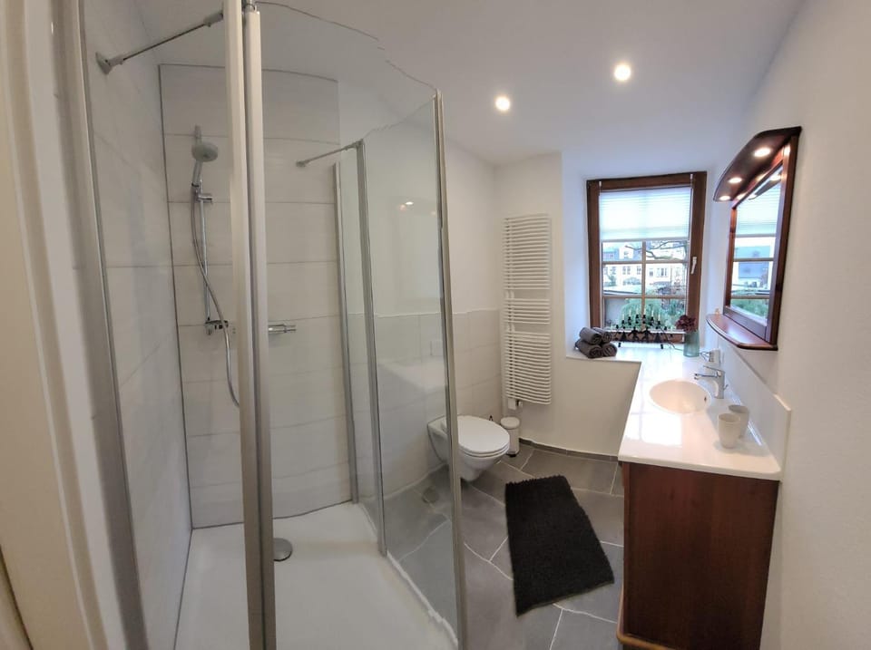 Shower, Toilet, Bathroom, towels