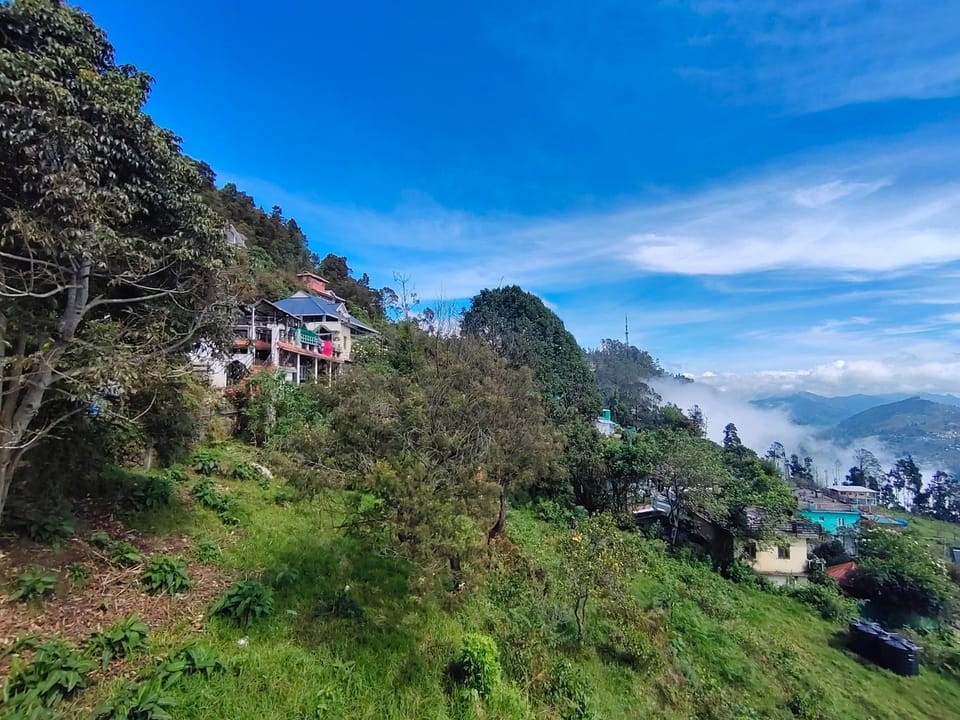Natural landscape