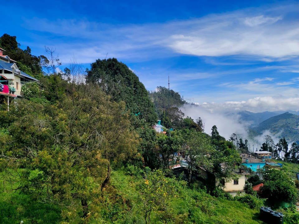 Natural landscape