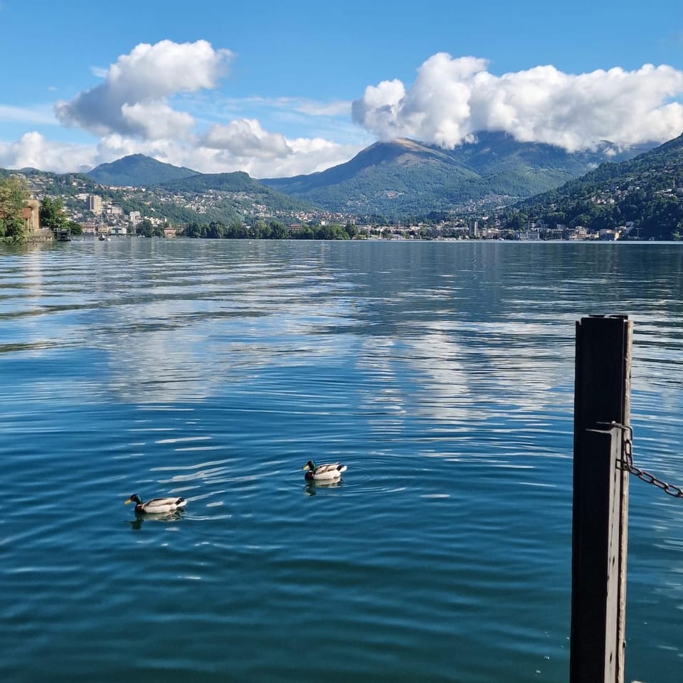 Lake view