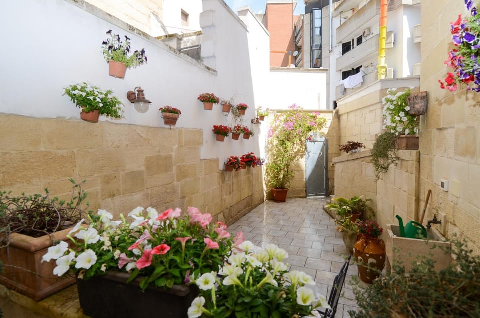 Garden, Other, Photo of the whole room, Decorative detail, Garden view, Inner courtyard view