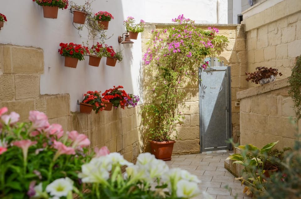 Patio, Garden, Garden, Other, Decorative detail, Garden view