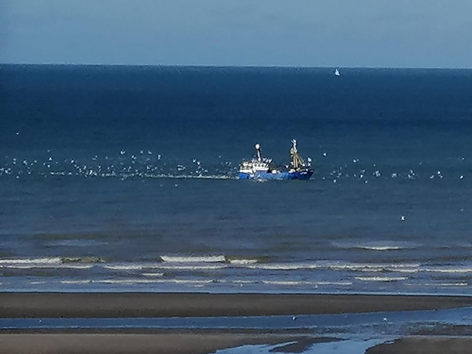 Zee en Zicht Apartment in De Panne