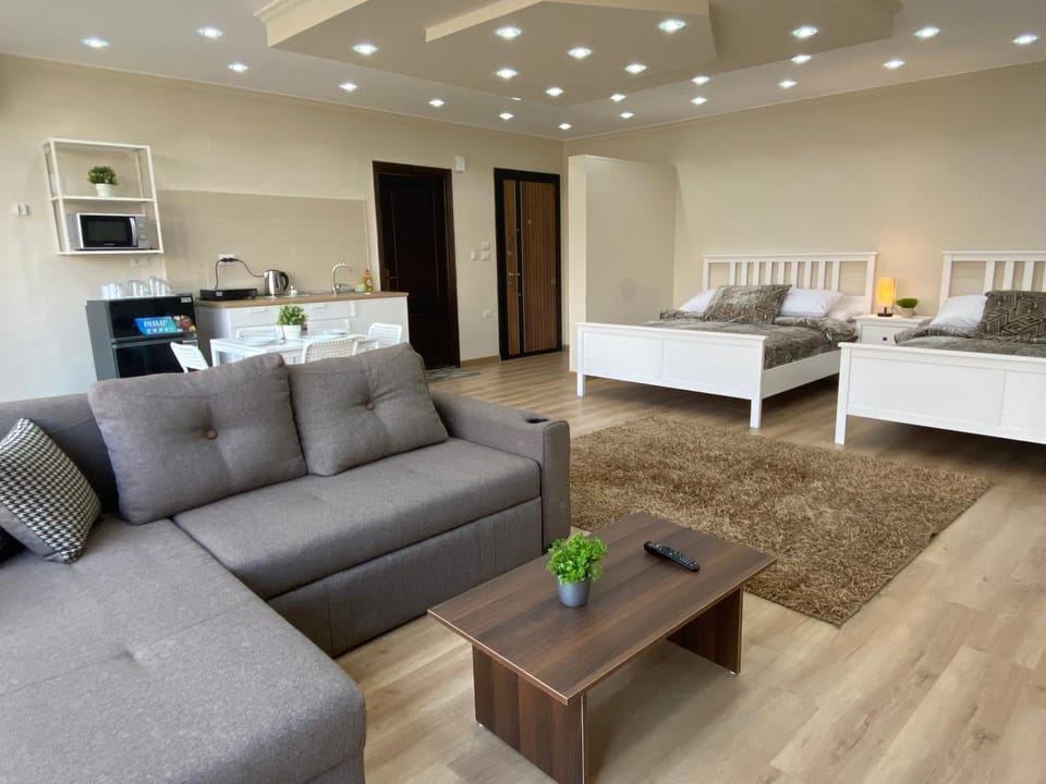 Bed, TV and multimedia, Kitchen or kitchenette, Living room, Seating area, Bedroom