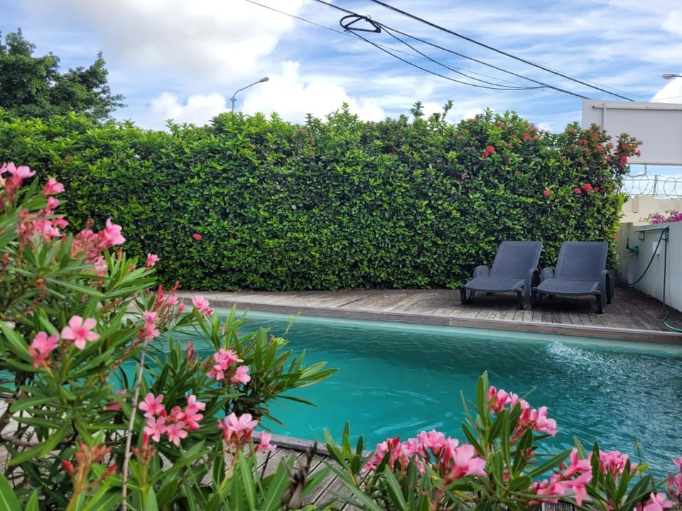Garden, Garden view, Swimming pool, Swimming pool, sunbed