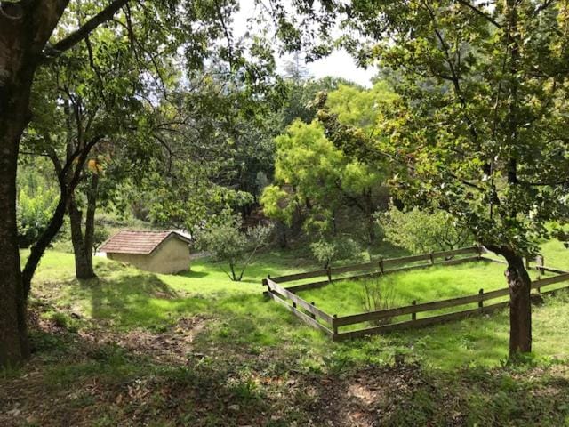 Garden view