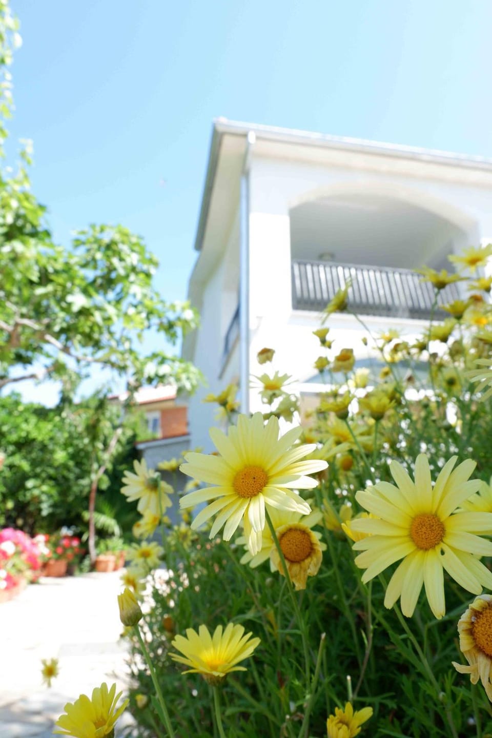 Property building, Day, Summer, Garden, On site, Garden view