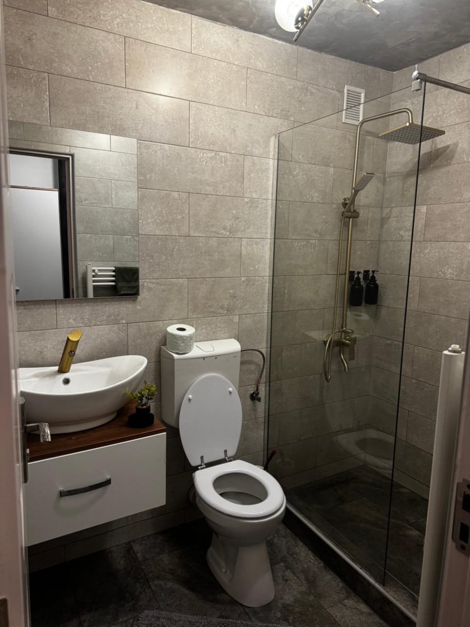 Cozy Home Studio Apartment in Romania