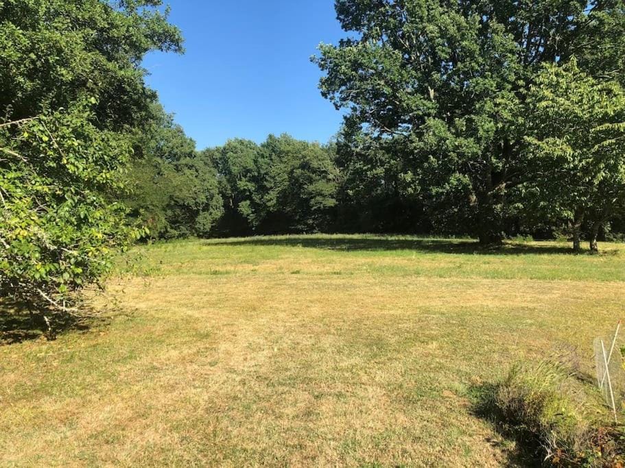 Natural landscape, Garden