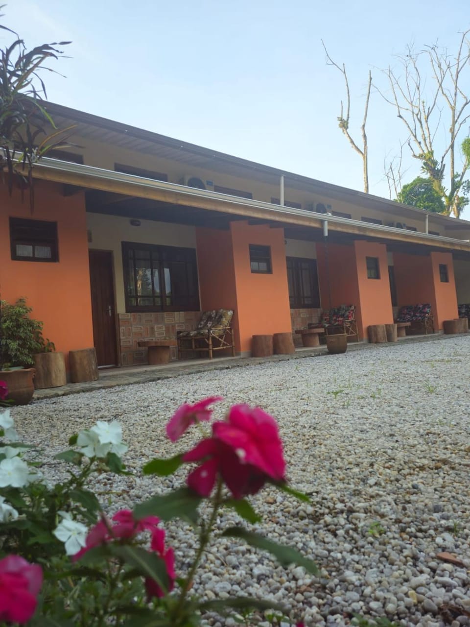 Property building, Day
