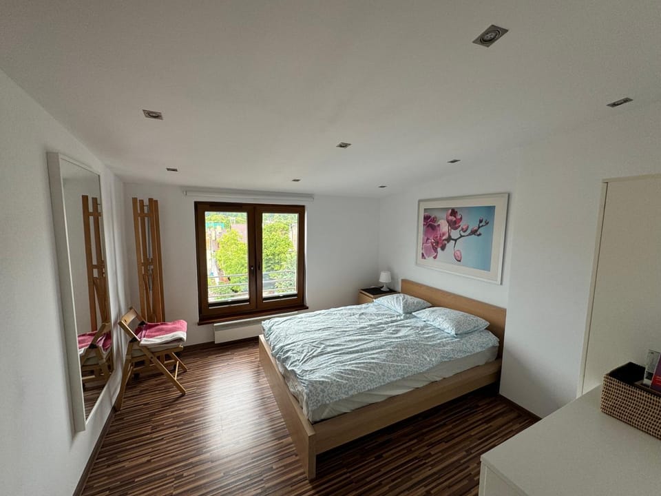 Olga Apartment in Pomeranian Voivodeship