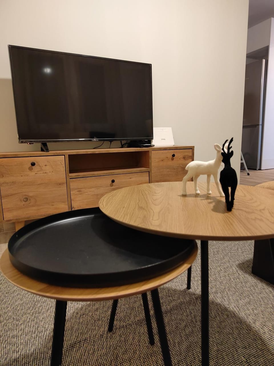 TV and multimedia