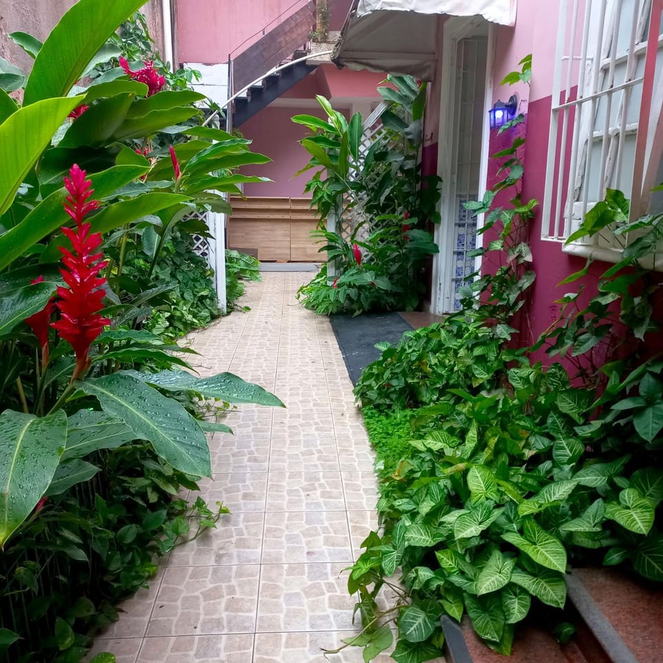 Day, Garden, Garden view